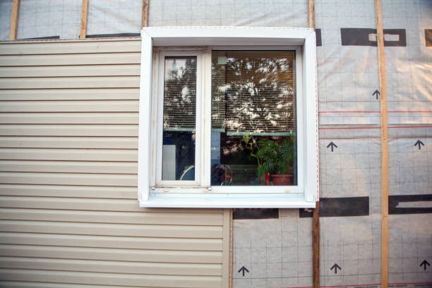 Professional Siding Services in Bourbonnais, IL