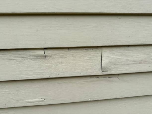 Best Historical Building Siding Restoration  in Bourbonnais, IL